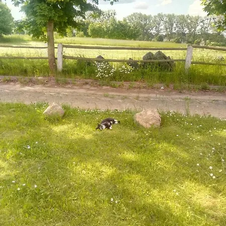 Rycerska Pod Grunwaldem 3*