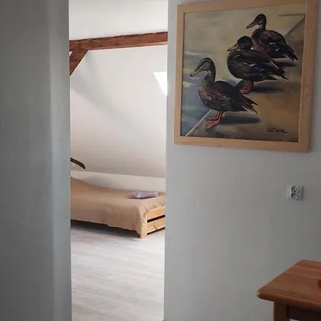 Rycerska Pod Grunwaldem Stebark