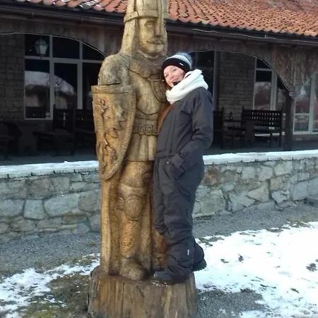 Rycerska Pod Grunwaldem Гостевой дом