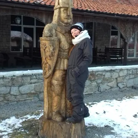 Rycerska Pod Grunwaldem 게스트하우스