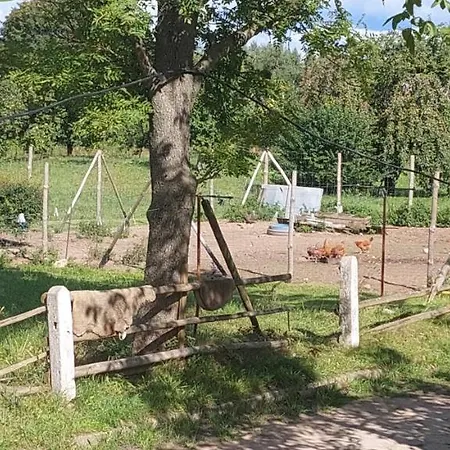 Rycerska Pod Grunwaldem