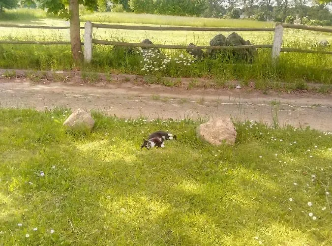 Rycerska Pod Grunwaldem 3*