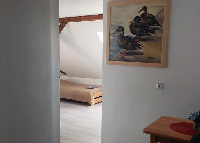 Rycerska Pod Grunwaldem Stebark