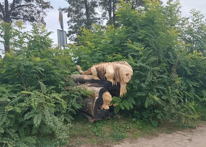 Guest house Rycerska Pod Grunwaldem 3*