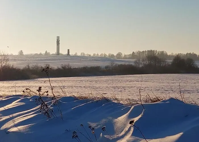 Guest house Rycerska Pod Grunwaldem Stebark