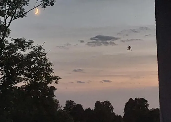 Guest house Rycerska Pod Grunwaldem 3*